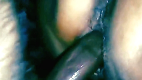 Hindi Indian Mms Newly Married Leela Bhabhi Sex Videos